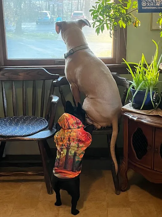 Lake Hopatcong Animal Hospital 12