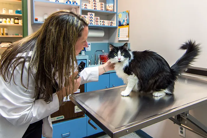 The Animal Hospital of Roxbury 12
