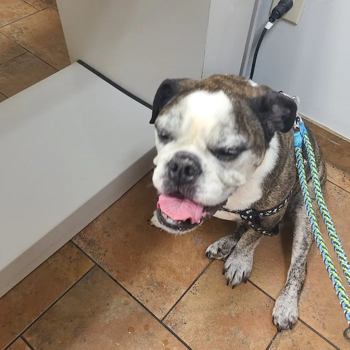 The Highlands Veterinary Hospital 12