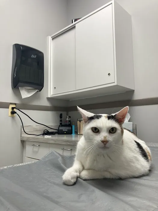 Byram Animal Hospital 12
