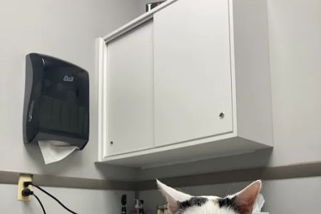 Byram Animal Hospital
