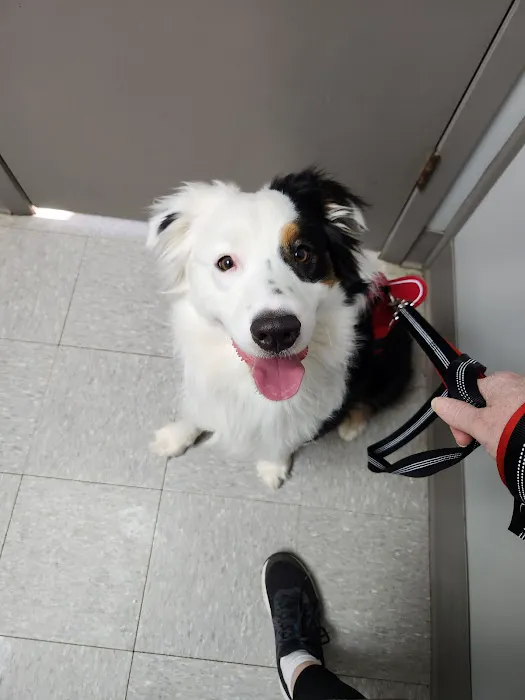 Byram Animal Hospital 12