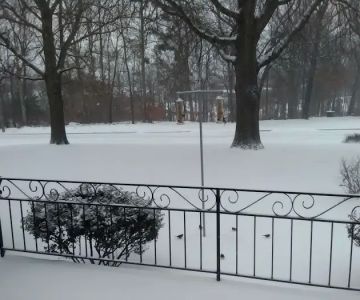 CHRIS'S BIRD FEEDERS AND SQUIRREL RESISTANT POLES