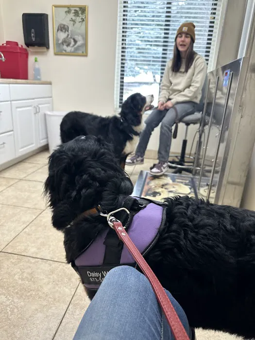 Flanders Veterinary Clinic 12