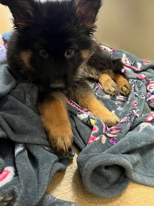 Animal Care Centers 12