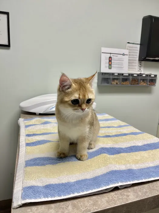 Animal Care Centers 12