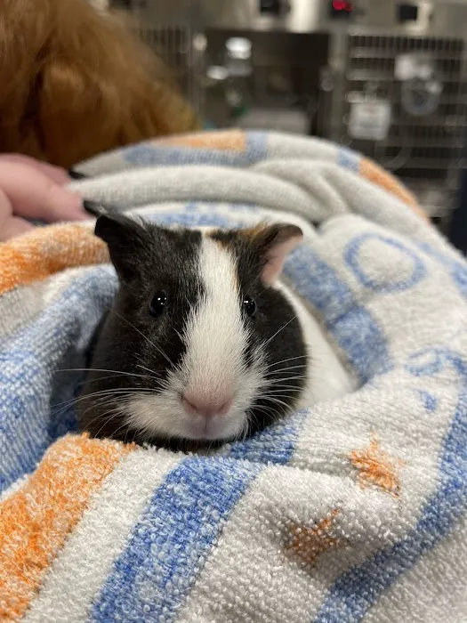 Animal Care Centers 12
