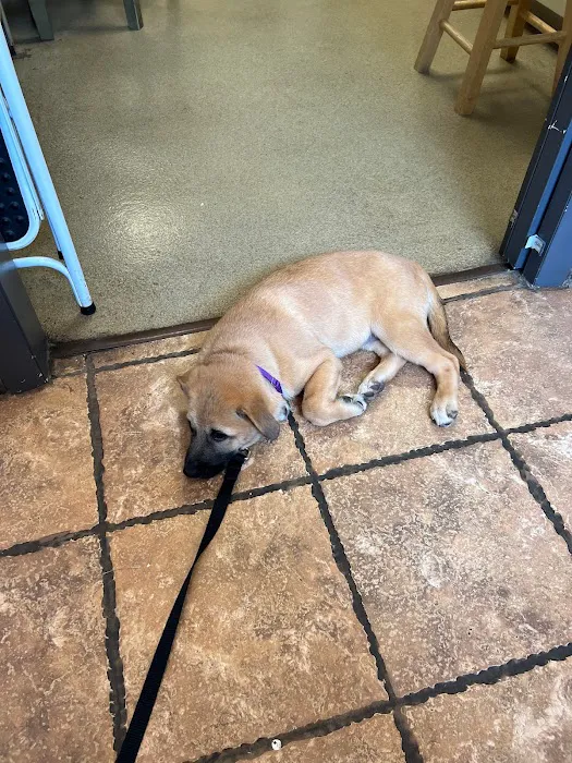 Animal Care Centers 12