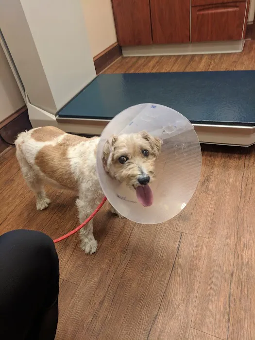 Mt Olive Veterinary Hospital 12