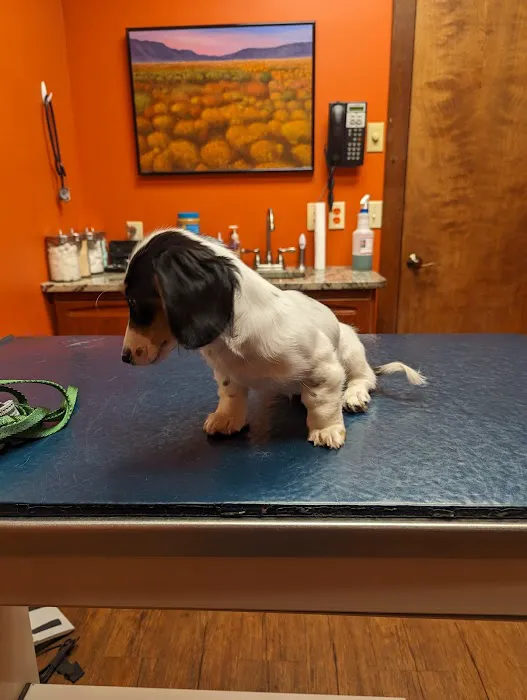 Mt Olive Veterinary Hospital 12