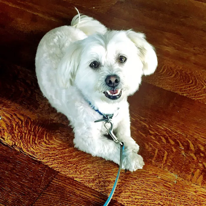 Mt Olive Veterinary Hospital 12