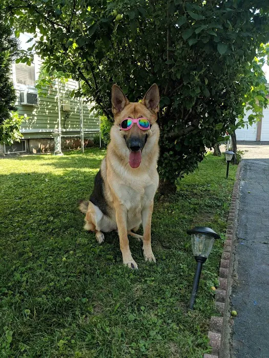 Belleville Animal Hospital 12