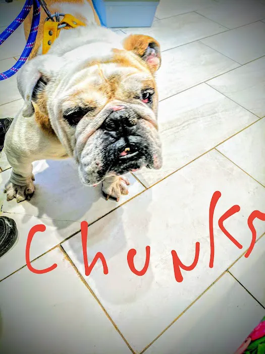 Belleville Animal Hospital 12