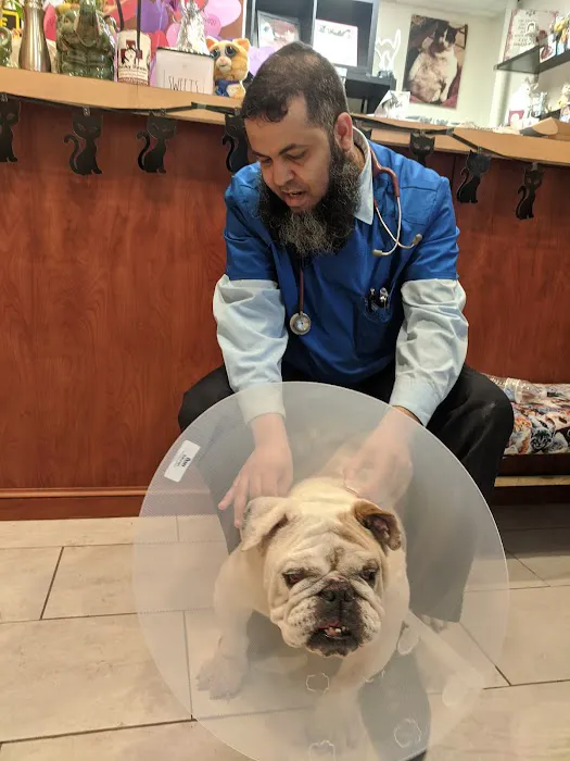 Belleville Animal Hospital 12