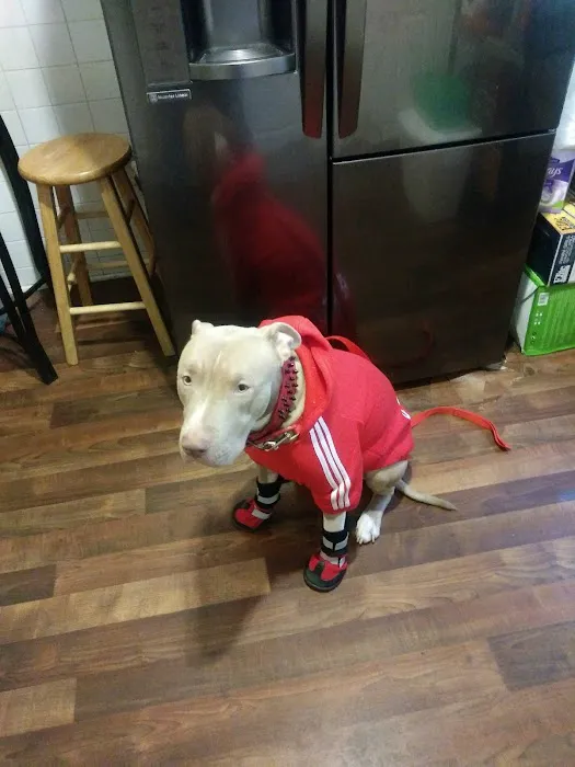 East Orange Animal Hospital 12