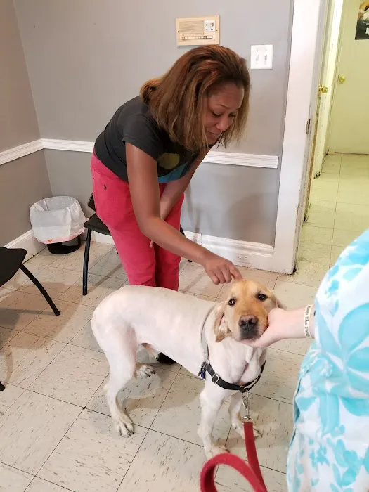 East Orange Animal Hospital 12