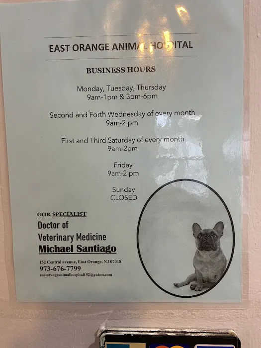 East Orange Animal Hospital 12