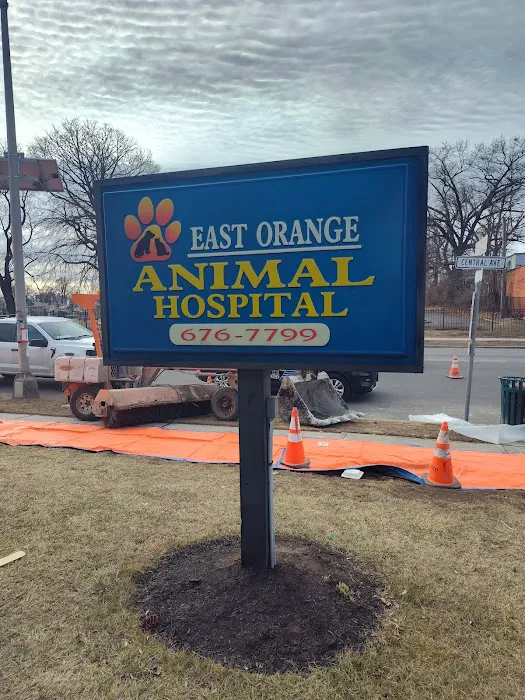 East Orange Animal Hospital 12