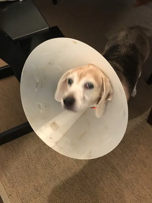 East Orange Animal Hospital 12