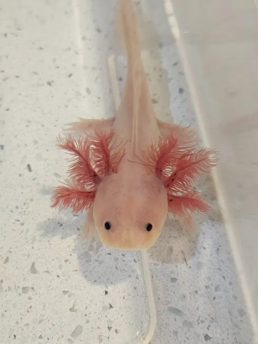 River City Aquaculture 12