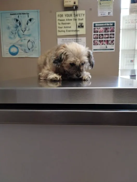 TLC Pet Doctor 12