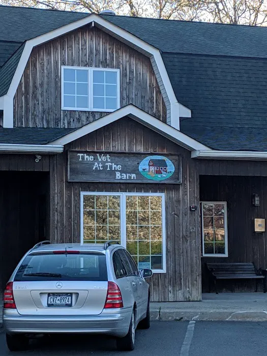 Vet At the Barn 4