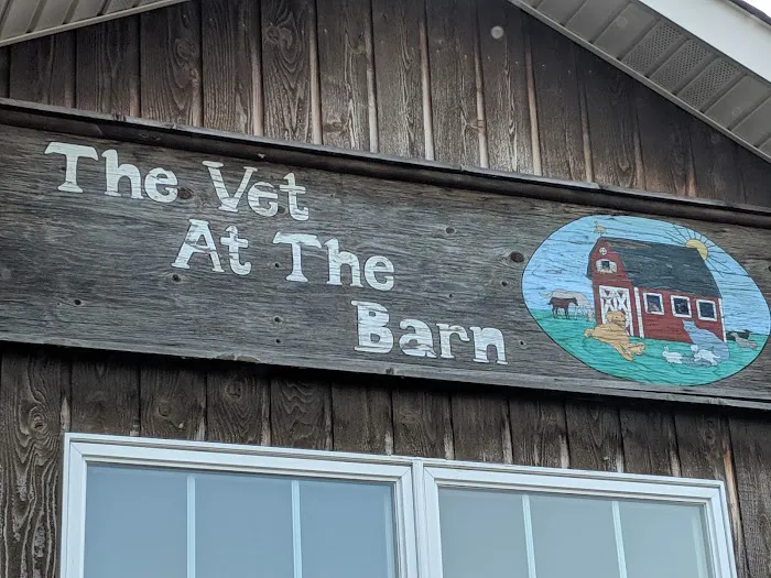 Vet At the Barn 2