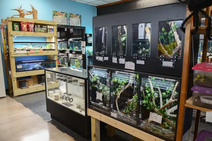 Bubble Aquatics & Exotics 12