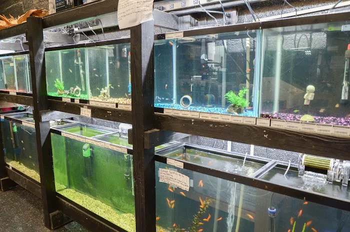 Bubble Aquatics & Exotics 12