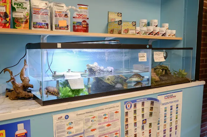 Bubble Aquatics & Exotics 12