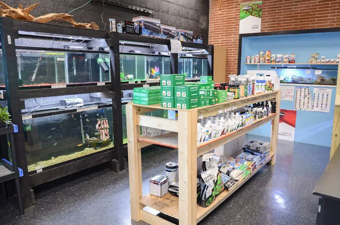 Bubble Aquatics & Exotics 12