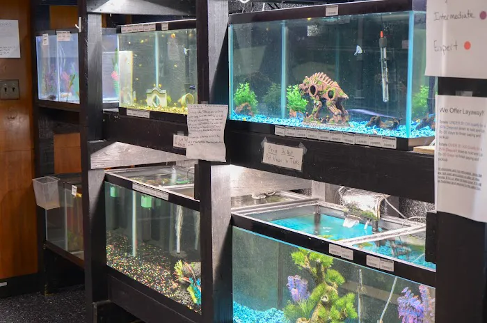 Bubble Aquatics & Exotics 12