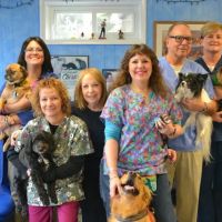 Pearl River Animal Hospital ico