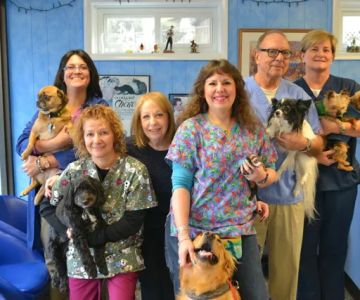 Pearl River Animal Hospital
