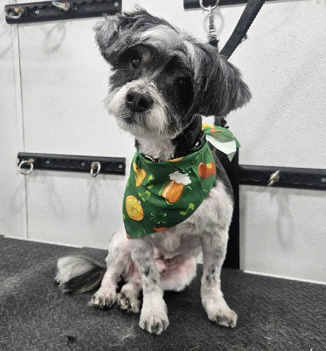 Nanuet Animal Hospital 2