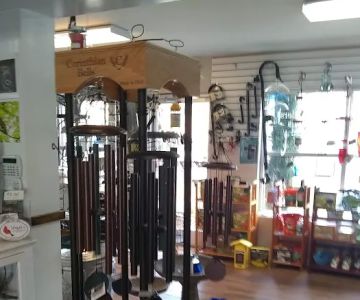 Wright's Backyard Birding Center