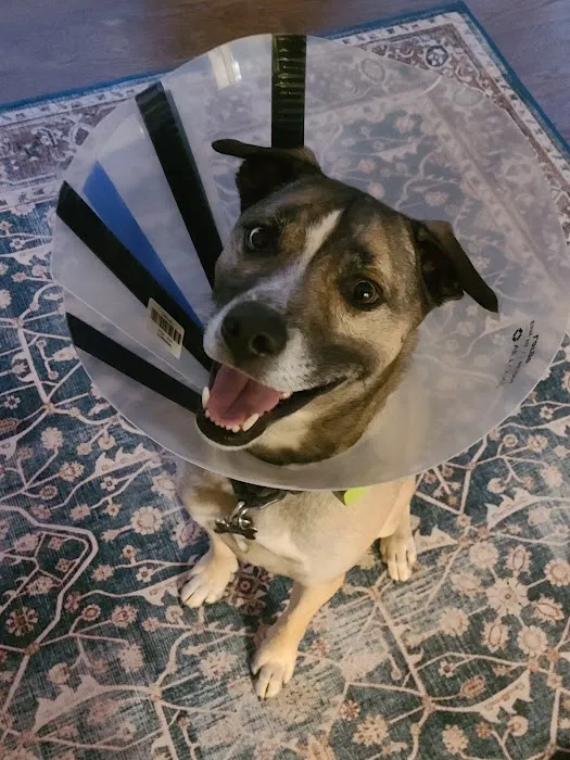 VEG ER for Pets 7