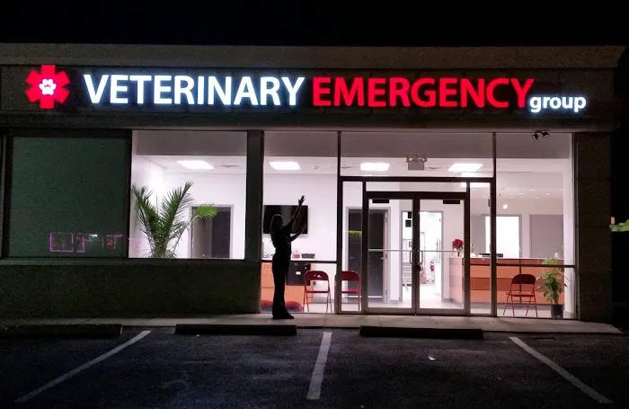 VEG ER for Pets 5