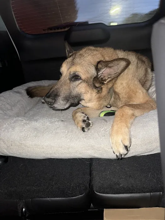 Banfield Pet Hospital 5