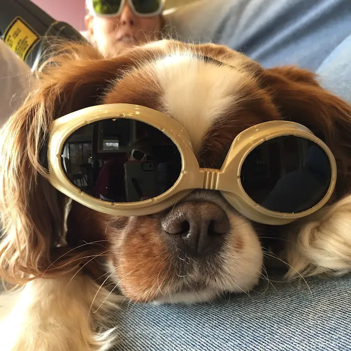 Monroe Animal Hospital 1