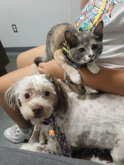 Monroe Animal Hospital 2
