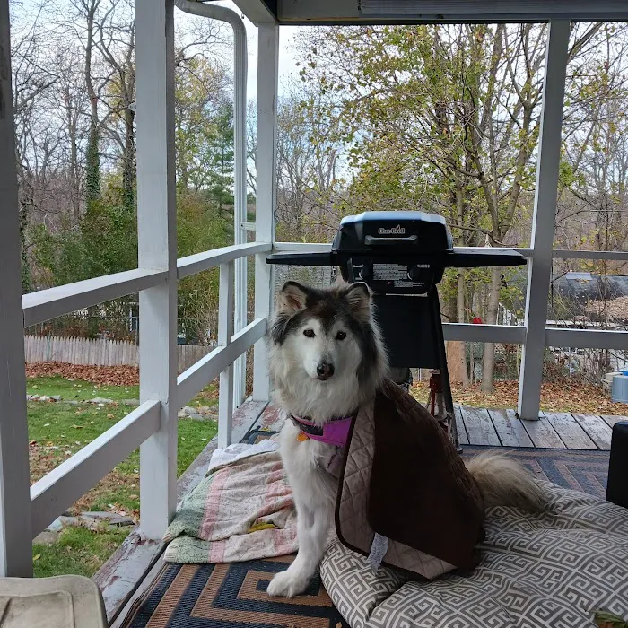 Monroe Animal Hospital 3
