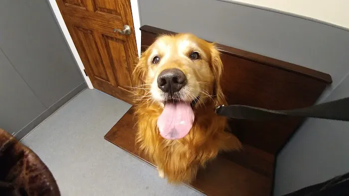 Monroe Animal Hospital 4