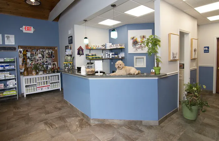 The Pets I Love Veterinary Hospital 1