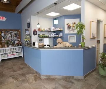 The Pets I Love Veterinary Hospital