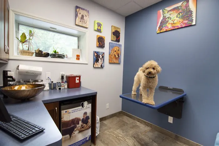 The Pets I Love Veterinary Hospital 8