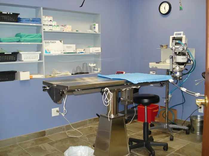 The Pets I Love Veterinary Hospital 5