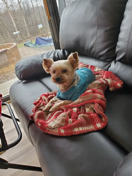 The Pets I Love Veterinary Hospital 6