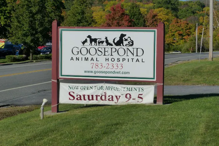 Goosepond Animal Hospital 9