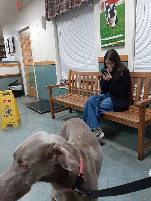 Goosepond Animal Hospital 4